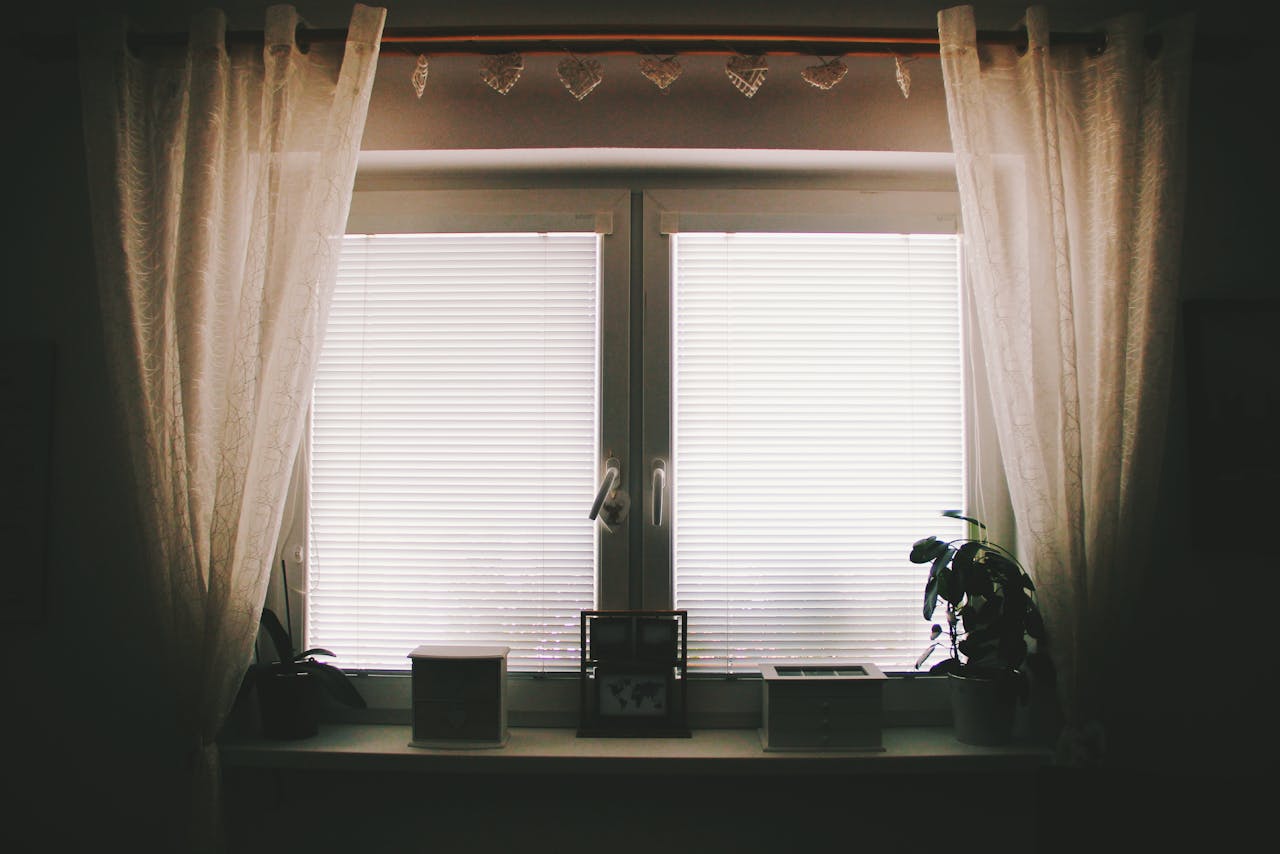 A home interior featuring a window with curtains, blinds, and potted plants.