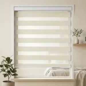 rèm cầu vồng allplus cream